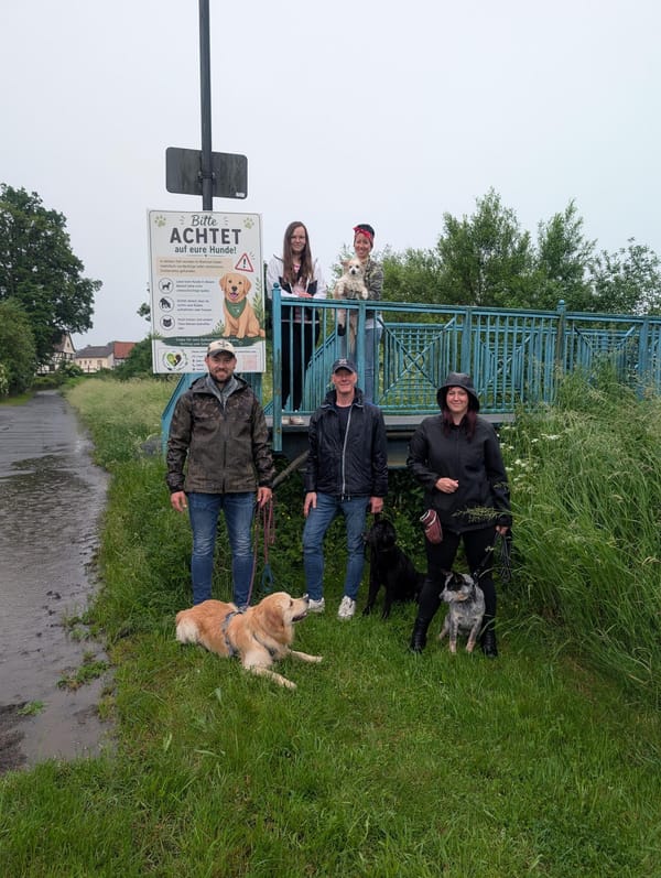 Warnung vor Fremdkörpern: Neue Hinweistafel soll Hundehalter schützen